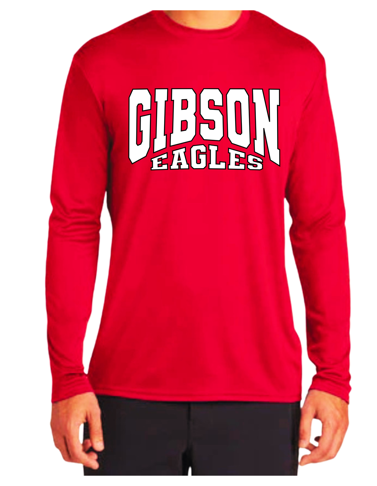 Gibson Eagles